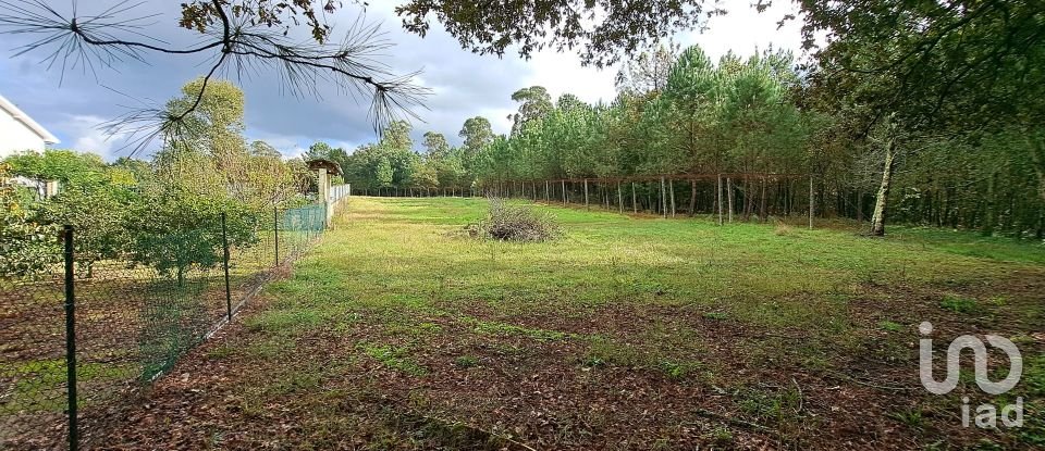 Terrain à Palmeira de 36 000 m²