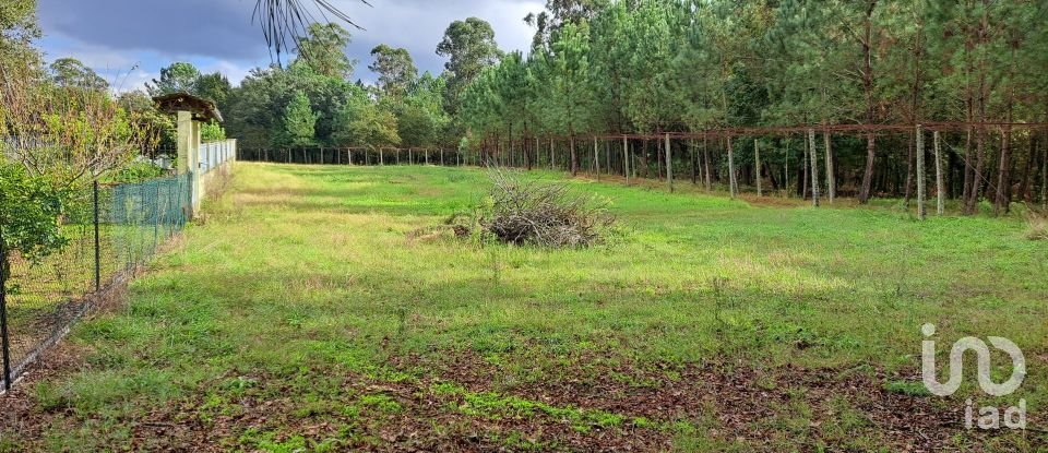 Terrain à Palmeira de 36 000 m²