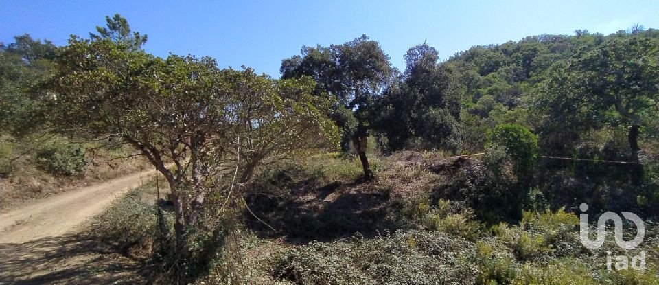Terreno urbano em Bensafrim e Barão de São João de 303 162 m²