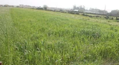 Land in Esposende, Marinhas e Gandra of 1,049 m²