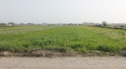 Land in Esposende, Marinhas e Gandra of 1,049 m²