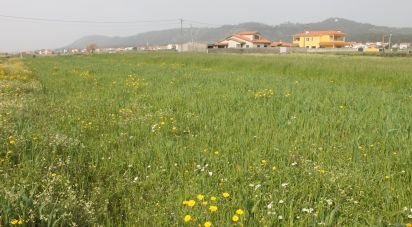 Land in Esposende, Marinhas e Gandra of 1,049 m²