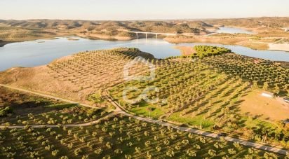 Land in Amieira E Alqueva of 8,000 m²