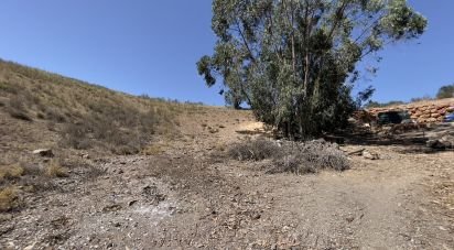 Maison rustique T6 à Silves de 179 m²