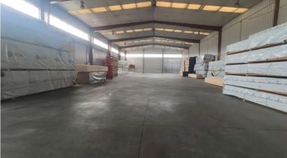 Loja / Estabelecimento Comercial em Albergaria-a-Velha e Valmaior de 1 166 m²