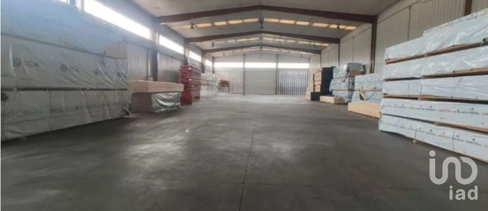Loja / Estabelecimento Comercial em Albergaria-a-Velha e Valmaior de 1 166 m²