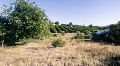 Terrain à Castro Marim de 1 271 m²