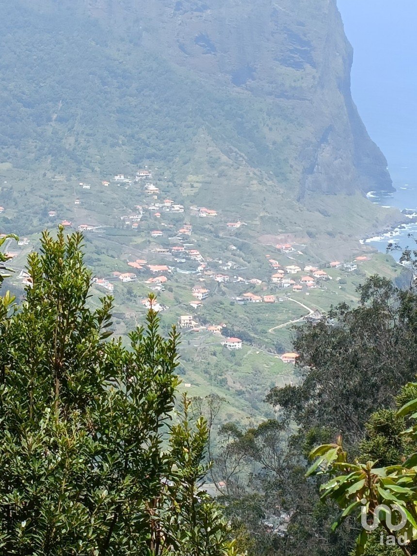 Terrain agricole à Porto da Cruz de 9 060 m²
