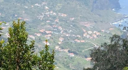 Terrain agricole à Porto da Cruz de 9 060 m²