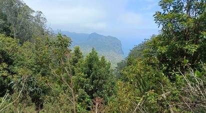 Terrain agricole à Porto da Cruz de 9 060 m²