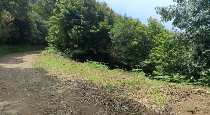 Terrain agricole à Porto da Cruz de 9 060 m²