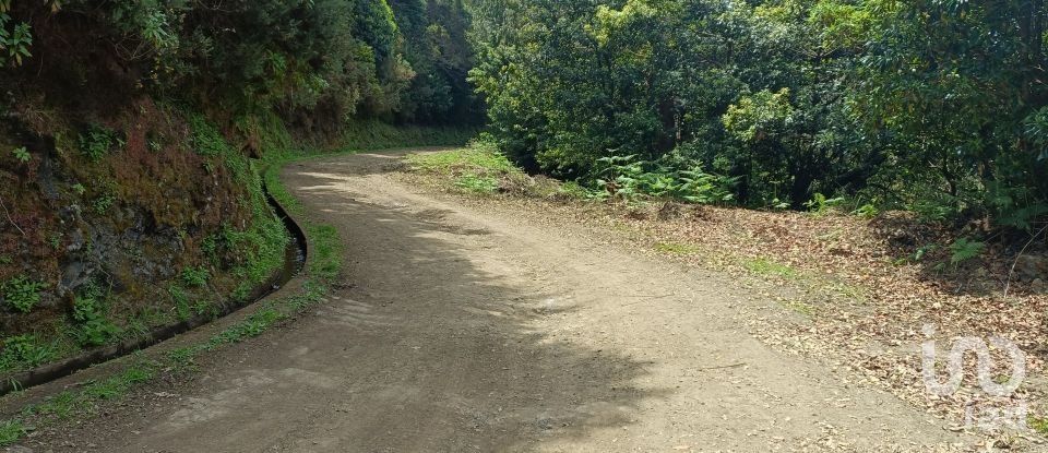 Terrain agricole à Porto da Cruz de 9 060 m²