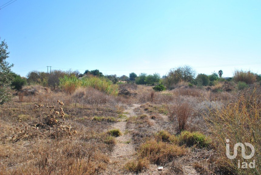 Land in Quelfes of 11,360 m²