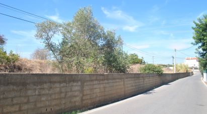 Land in Quelfes of 11,360 m²