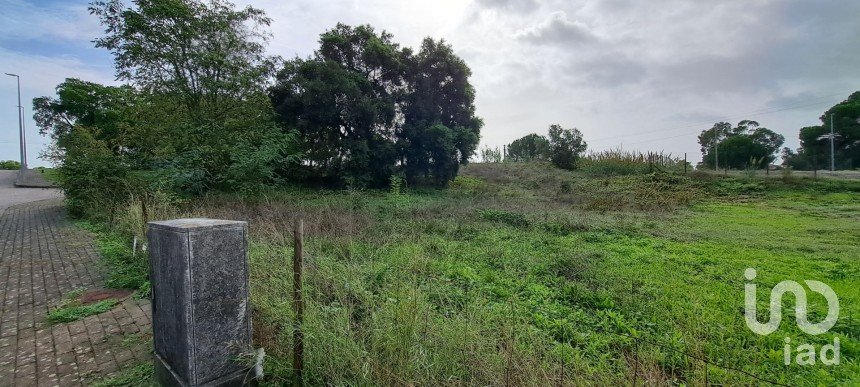 Land in Santarém (Marvila), Santa Iria Da Ribeira De Santarém, Santarém (São Salvador) E Santarém (São Nicolau) of 517 m²