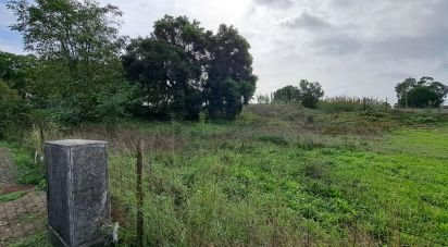 Terrain à Santarém (Marvila), Santa Iria Da Ribeira De Santarém, Santarém (São Salvador) E Santarém (São Nicolau) de 517 m²