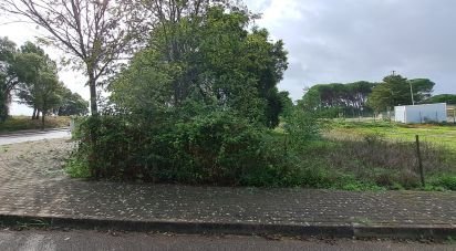 Terrain à Santarém (Marvila), Santa Iria Da Ribeira De Santarém, Santarém (São Salvador) E Santarém (São Nicolau) de 517 m²