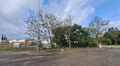 Terrain à Santarém (Marvila), Santa Iria Da Ribeira De Santarém, Santarém (São Salvador) E Santarém (São Nicolau) de 517 m²