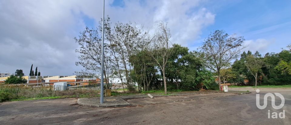 Terreno em Santarém (Marvila), Santa Iria Da Ribeira De Santarém, Santarém (São Salvador) E Santarém (São Nicolau) de 517 m²