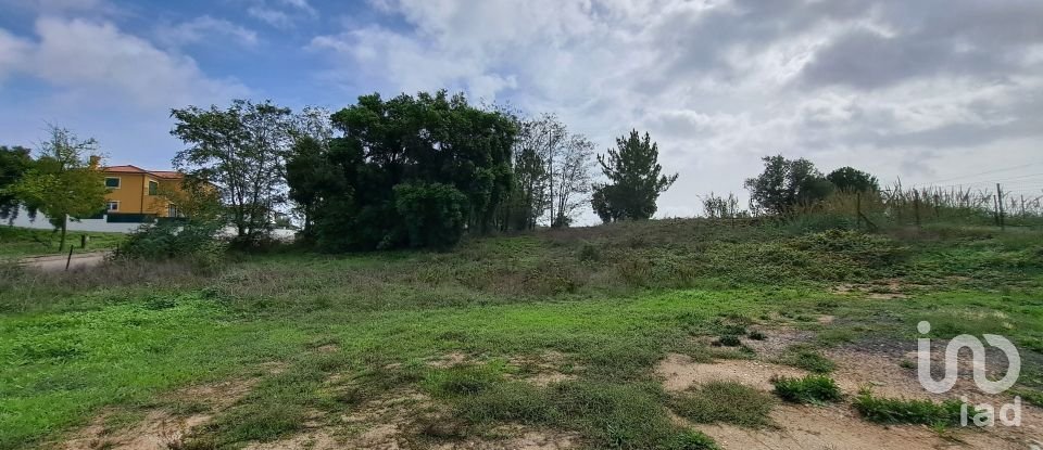 Land in Santarém (Marvila), Santa Iria Da Ribeira De Santarém, Santarém (São Salvador) E Santarém (São Nicolau) of 517 m²