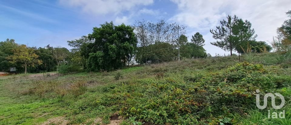 Land in Santarém (Marvila), Santa Iria Da Ribeira De Santarém, Santarém (São Salvador) E Santarém (São Nicolau) of 517 m²