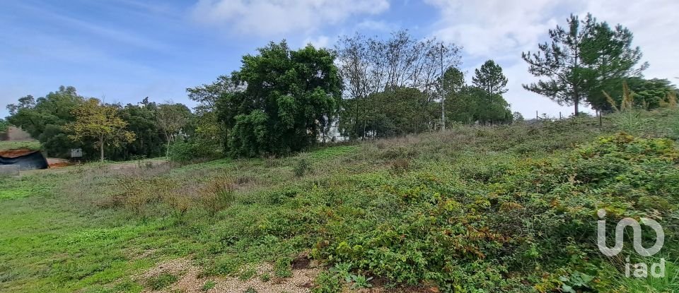 Land in Santarém (Marvila), Santa Iria Da Ribeira De Santarém, Santarém (São Salvador) E Santarém (São Nicolau) of 517 m²