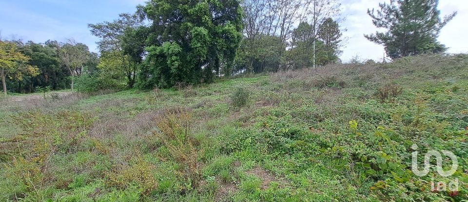 Land in Santarém (Marvila), Santa Iria Da Ribeira De Santarém, Santarém (São Salvador) E Santarém (São Nicolau) of 517 m²