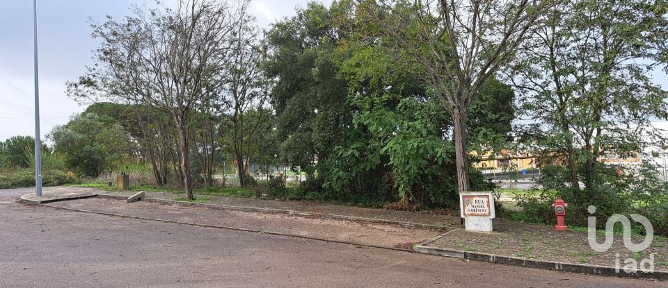 Land in Santarém (Marvila), Santa Iria Da Ribeira De Santarém, Santarém (São Salvador) E Santarém (São Nicolau) of 517 m²