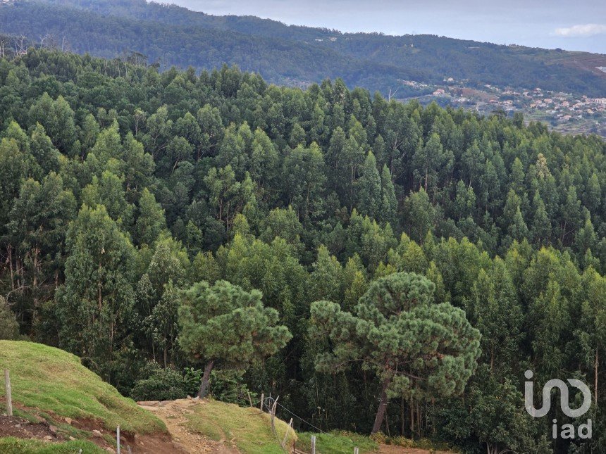 Terreno em Santa Cruz de 10 960 m²