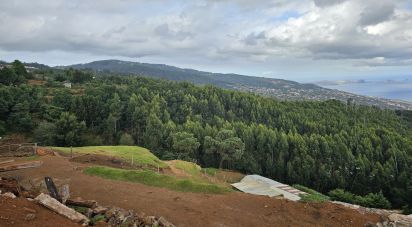 Terrain à Santa Cruz de 10 960 m²