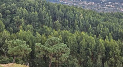 Terrain à Santa Cruz de 10 960 m²