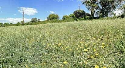 Terrain à bâtir à Almargem do Bispo, Pêro Pinheiro e Montelavar de 7 080 m²