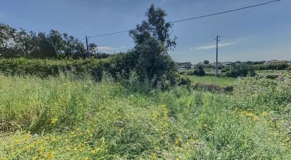 Terrain à bâtir à Almargem do Bispo, Pêro Pinheiro e Montelavar de 7 080 m²