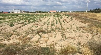 Building plot in Benavente of 13,891 m²