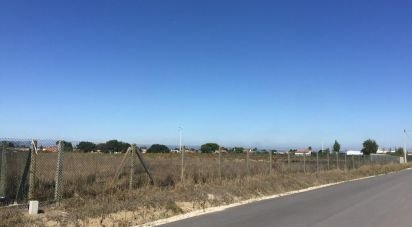 Building plot in Benavente of 13,891 m²