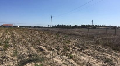 Building plot in Benavente of 13,891 m²