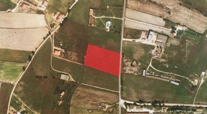 Building plot in Benavente of 13,891 m²