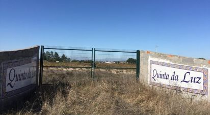 Building plot in Benavente of 13,891 m²