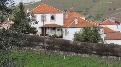 Casa / Villa T5 em Lobrigos (São Miguel e São João Baptista) e Sanhoane de 255 m²