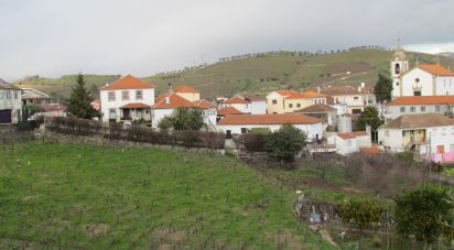 House T5 in Lobrigos (São Miguel e São João Baptista) e Sanhoane of 255 m²