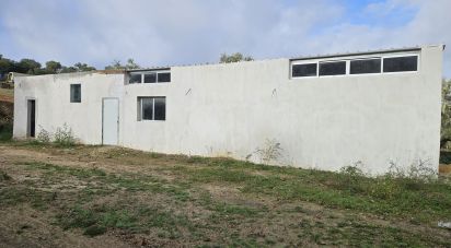 Surface diverse à Salir de 200 m²