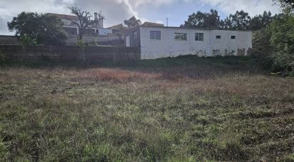 Surface diverse à Salir de 200 m²