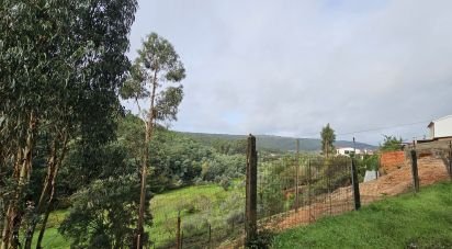 Terreno para construção em Semide e Rio Vide de 2 400 m²