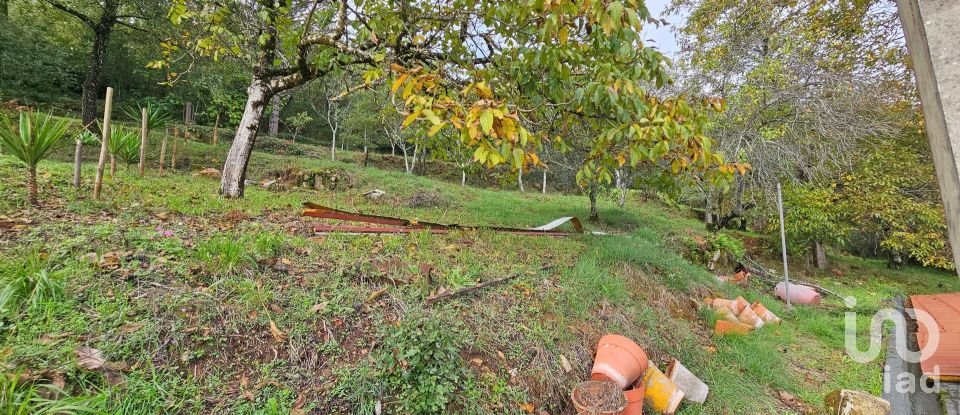 Country home T3 in Cumeeira of 45 m²