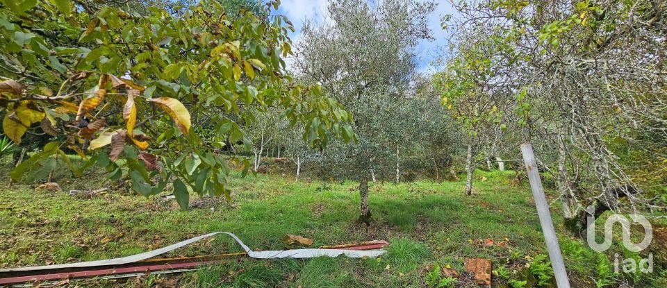 Country home T3 in Cumeeira of 45 m²