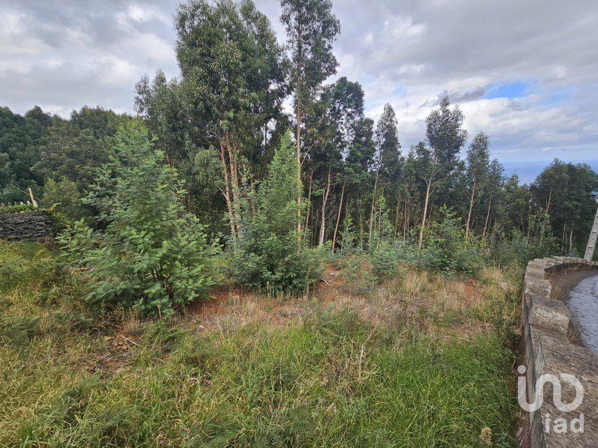 Terreno em Gaula de 4 380 m²