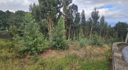 Terrain à Gaula de 4 380 m²