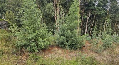 Terrain à Gaula de 4 380 m²