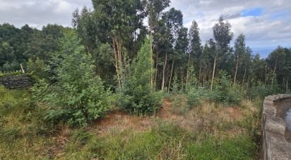 Terrain à Gaula de 4 380 m²