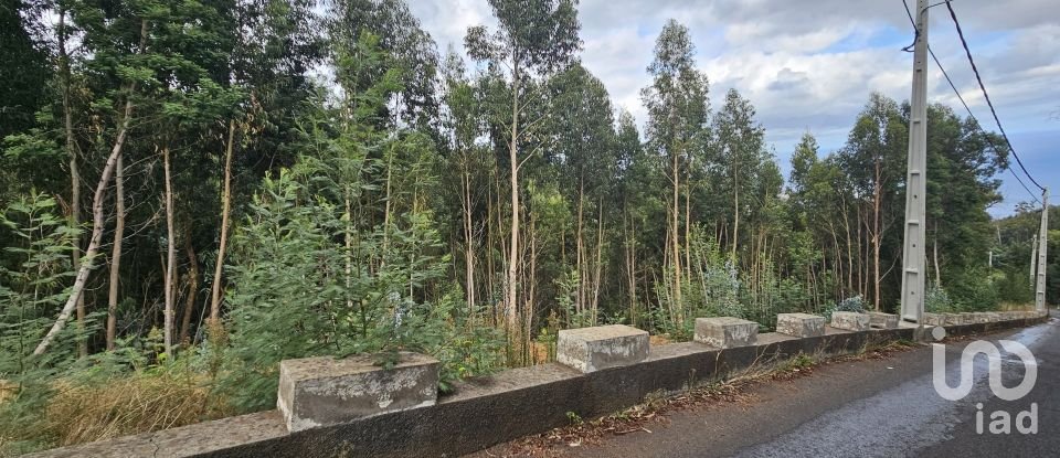 Terreno em Gaula de 4 380 m²